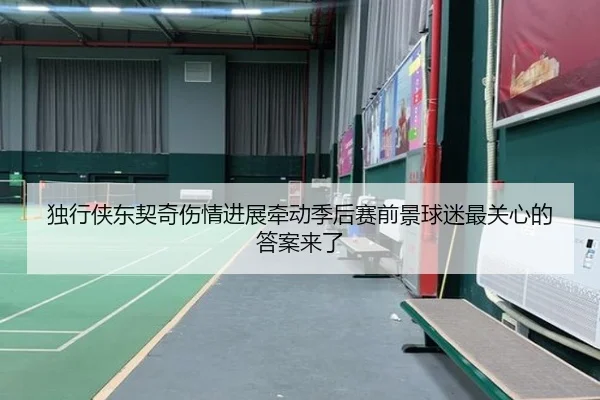 独行侠东契奇伤情进展牵动季后赛前景球迷最关心的答案来了